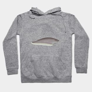 African Knifefish Hoodie